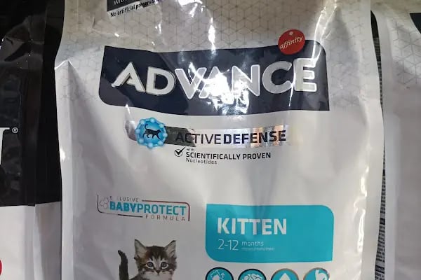 ŞİLA &amp; MİNİK DOSTLAR DİYARBAKİR PET SHOP AKVARYUM - Resim 5