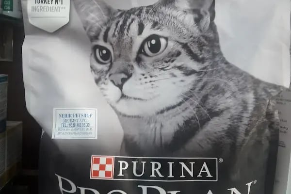 ŞİLA &amp; MİNİK DOSTLAR DİYARBAKİR PET SHOP AKVARYUM - Resim 17
