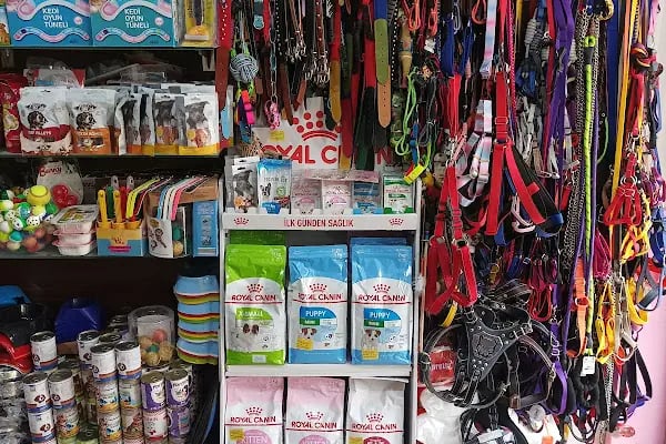 ŞİLA &amp; MİNİK DOSTLAR DİYARBAKİR PET SHOP AKVARYUM - Resim 20