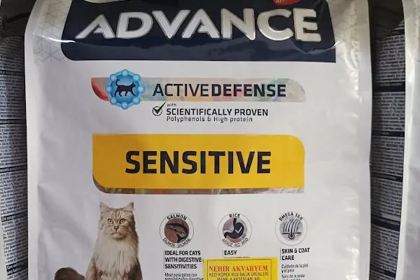 ŞİLA &amp; MİNİK DOSTLAR DİYARBAKİR PET SHOP AKVARYUM - Resim 3