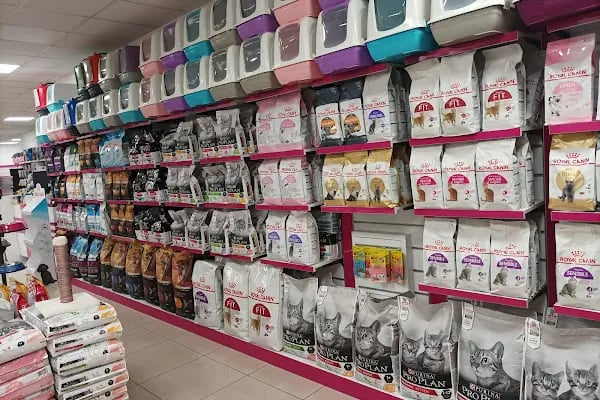 ŞİLA &amp; MİNİK DOSTLAR DİYARBAKİR PET SHOP AKVARYUM - Resim 14