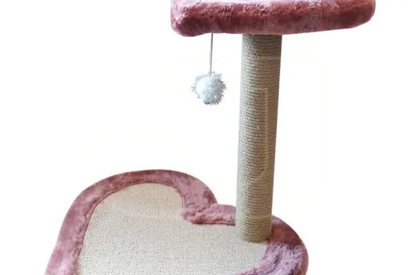 Mesken Petshop - Resim 17
