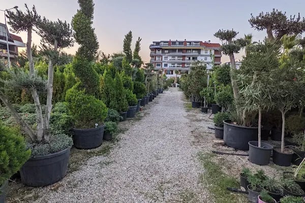 Servet Garden | Peyzaj Uygulama - Ciçekçilik - Resim 2