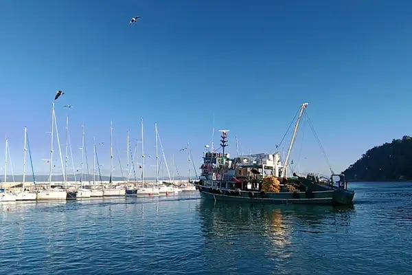 Tirilye Balıkçı Limanı - Resim 2