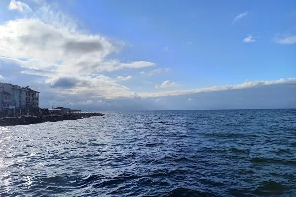 Tirilye Balıkçı Limanı - Resim 10