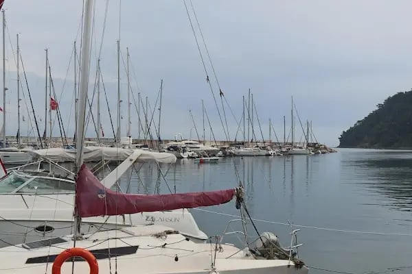 Tirilye Balıkçı Limanı - Resim 16