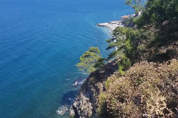 Tirilye Balıkçı Limanı - Resim 15