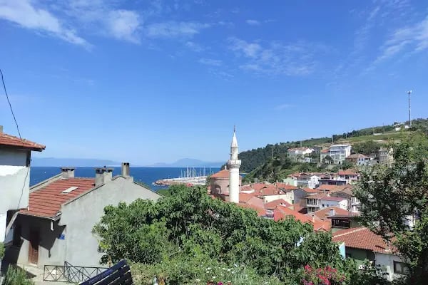 Tirilye Balıkçı Limanı - Resim 18
