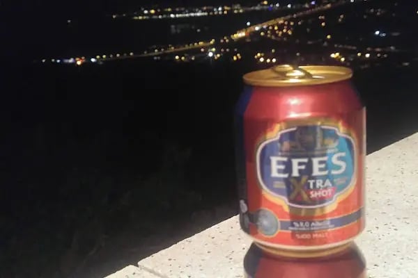 Çamlıca Dağ Evleri - Resim 4