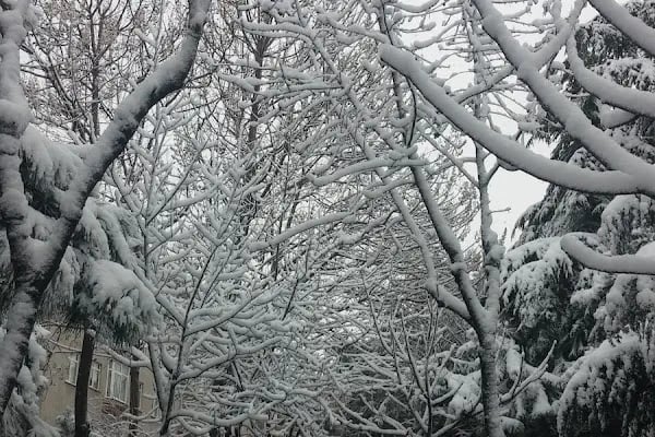 Bağcılar Belediyesi Seyit Çavuş Parkı - Resim 19
