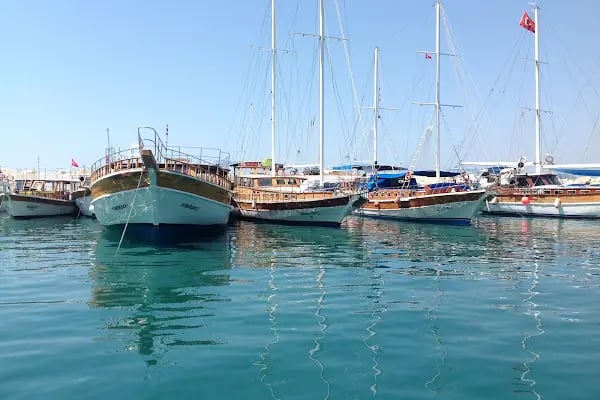 Demre Kuş Cenneti - Resim 9