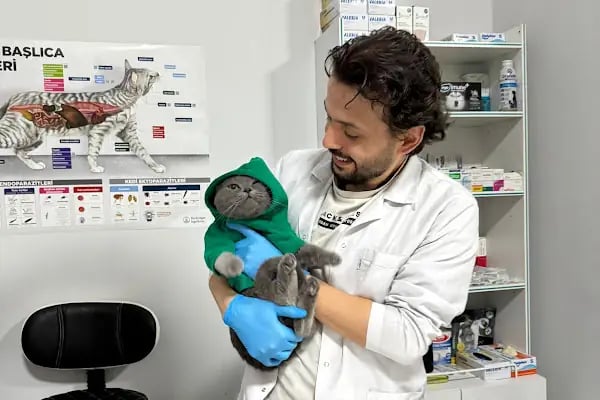 Bursa Vetropol Veteriner Kliniği - Resim 9