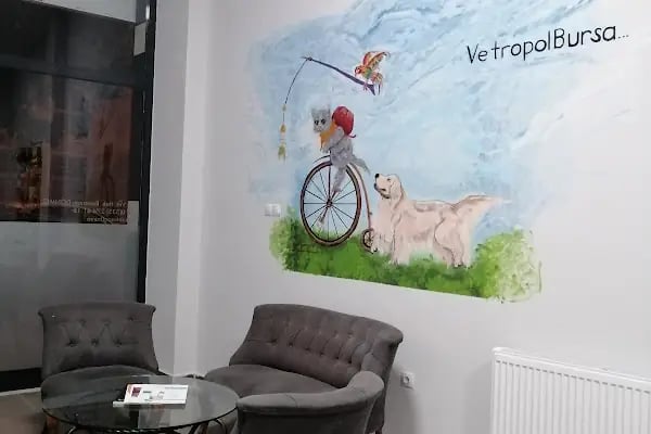 Bursa Vetropol Veteriner Kliniği - Resim 12