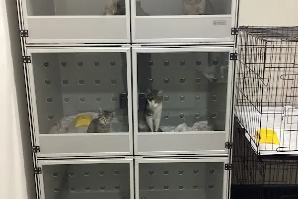 Rota Veteriner Kliniği 7/24 - Resim 13