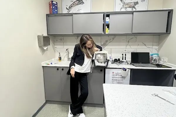 Rota Veteriner Kliniği 7/24 - Resim 20