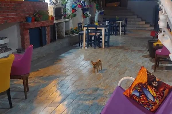 ÇAMLIK PANSİYON ÖRNEKKÖY ŞUBE - Resim 11