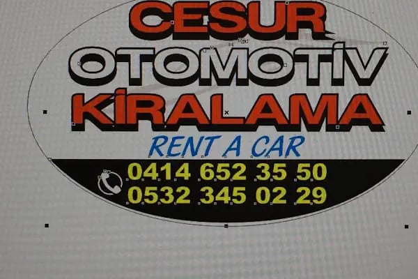 birecik cesur oto kiralama - Resim 10
