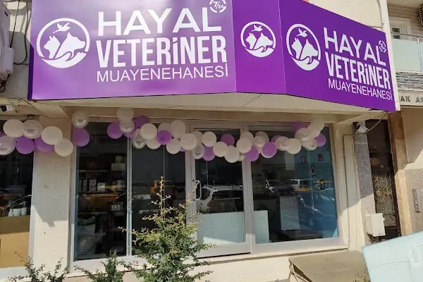 Hayal Veteriner Muayenehanesi I 7/24 veteriner I Üçevler Veteriner I Acil Veteriner - Resim 14
