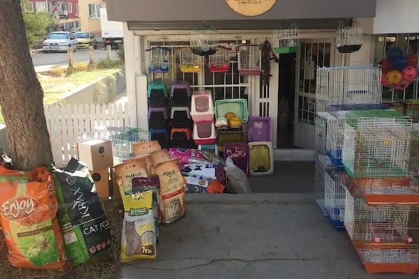 Robin Ticaret (PetShop) - Resim 2