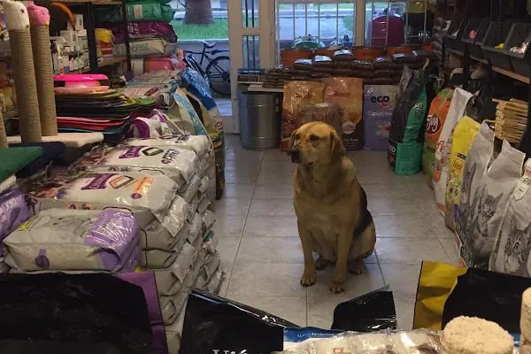 Robin Ticaret (PetShop) - Resim 10
