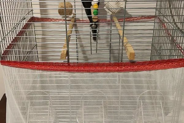 Robin Ticaret (PetShop) - Resim 8