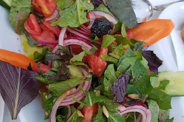 Cassava Cafe & Restaurant - Resim 20