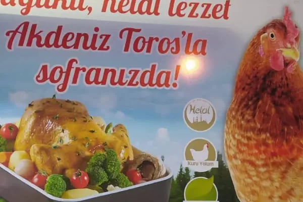 YILMAZLAR GROSS MARKET - Resim 14