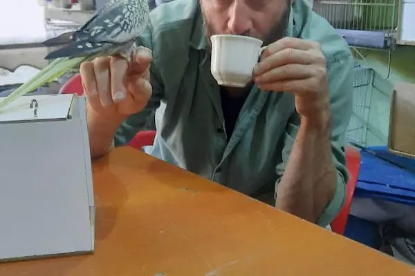 ŞANLIURFA TOPÇU MEYDANI DÜĞÜN SALONU - Resim 20