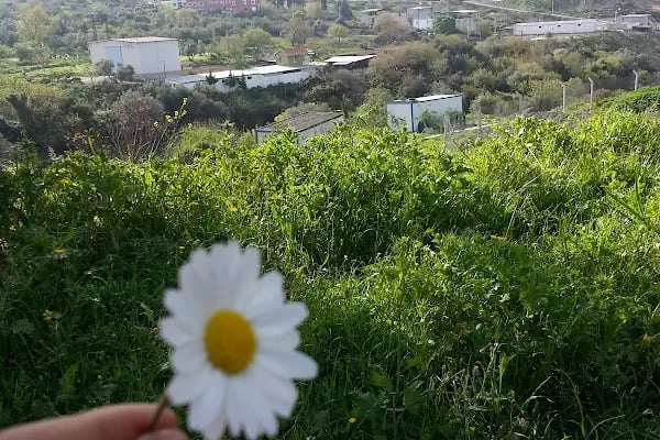 Doğançay Parkı - Resim 2