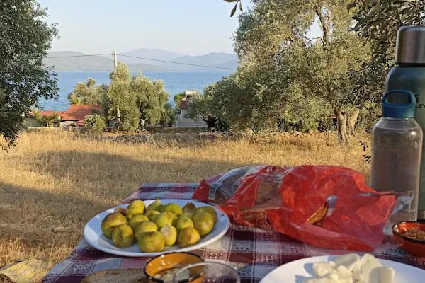 Akyaka Cengizin Yeri Camping - Resim 14