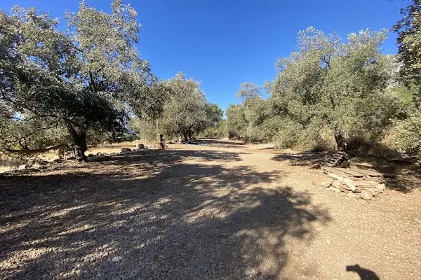 Akyaka Cengizin Yeri Camping - Resim 6
