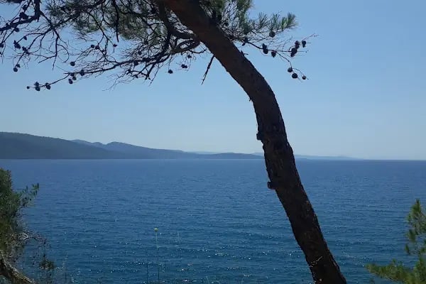 Akyaka Cengizin Yeri Camping - Resim 18