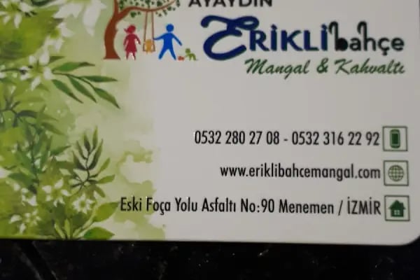 Ayaydin erikli bahce - Resim 4