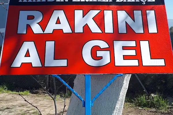 Ayaydin erikli bahce - Resim 19