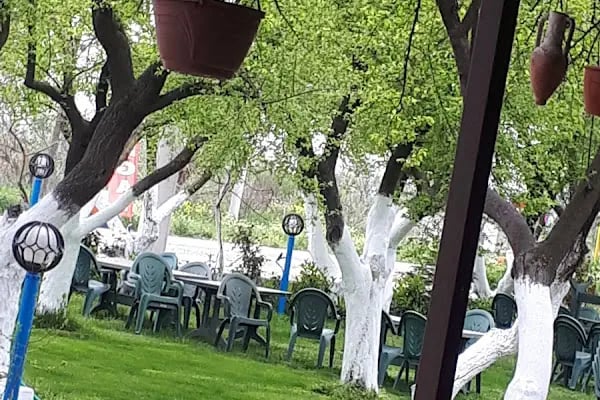 Ayaydin erikli bahce - Resim 12