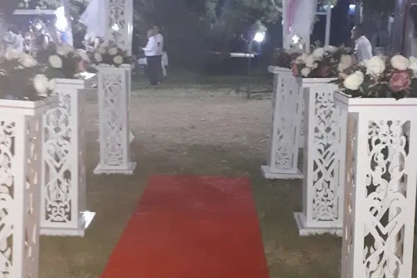 Ayaydin erikli bahce - Resim 15
