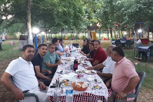 Ayaydin erikli bahce - Resim 20