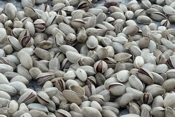 Yıldırım Fıstık Badem Fabrikası - Resim 3
