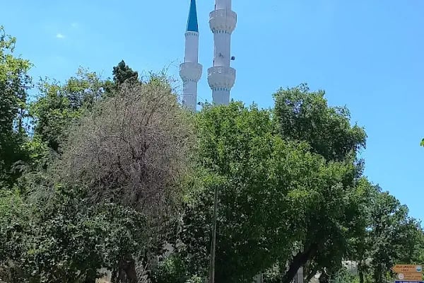 Sungi Ipek Cami Mosque - Uludag University - Resim 8