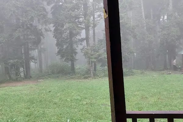 Çalcamili Tabiat Parkı - Resim 14