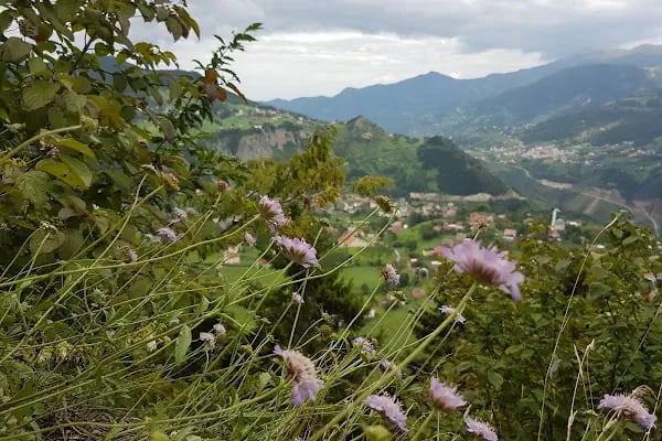 Çalcamili Tabiat Parkı - Resim 16