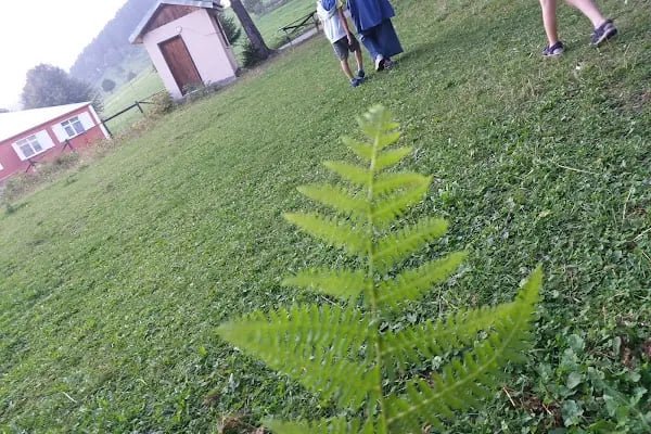 Çalcamili Tabiat Parkı - Resim 18