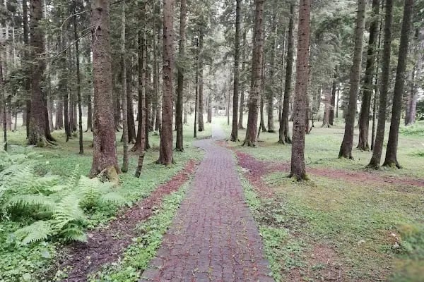 Çalcamili Tabiat Parkı - Resim 3