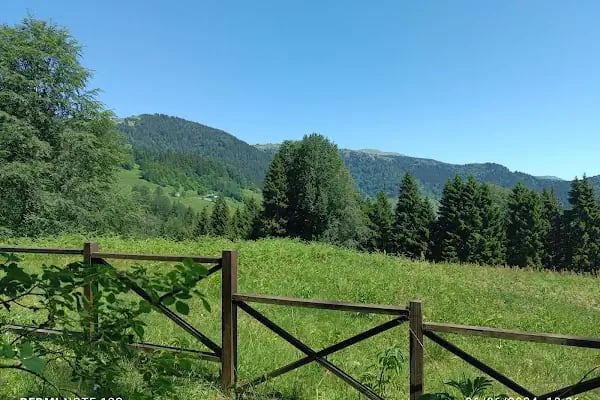 Çalcamili Tabiat Parkı - Resim 6