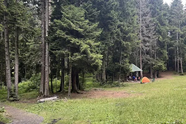 Çalcamili Tabiat Parkı - Resim 4