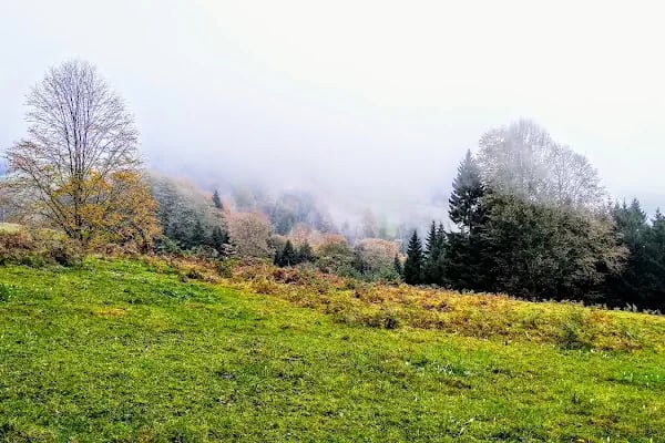 Çalcamili Tabiat Parkı - Resim 19