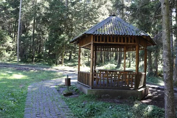 Çalcamili Tabiat Parkı - Resim 2
