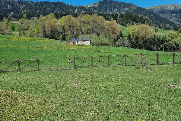 Çalcamili Tabiat Parkı - Resim 20