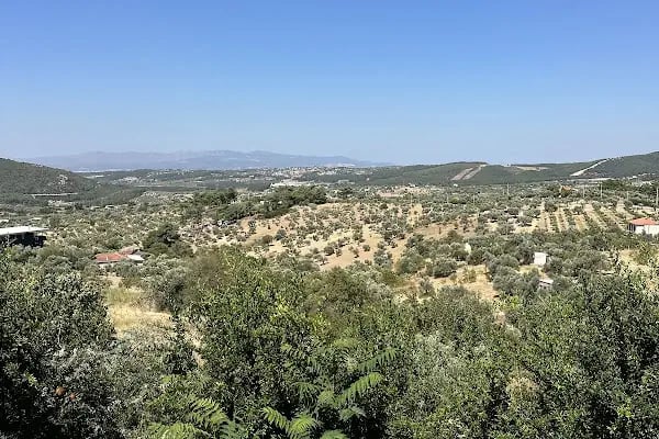 Lavieen Rose Kahvaltı Evi - Resim 8