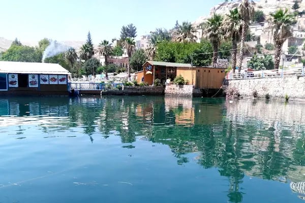 Şanlıurfa Gap Havalimanı - Resim 19
